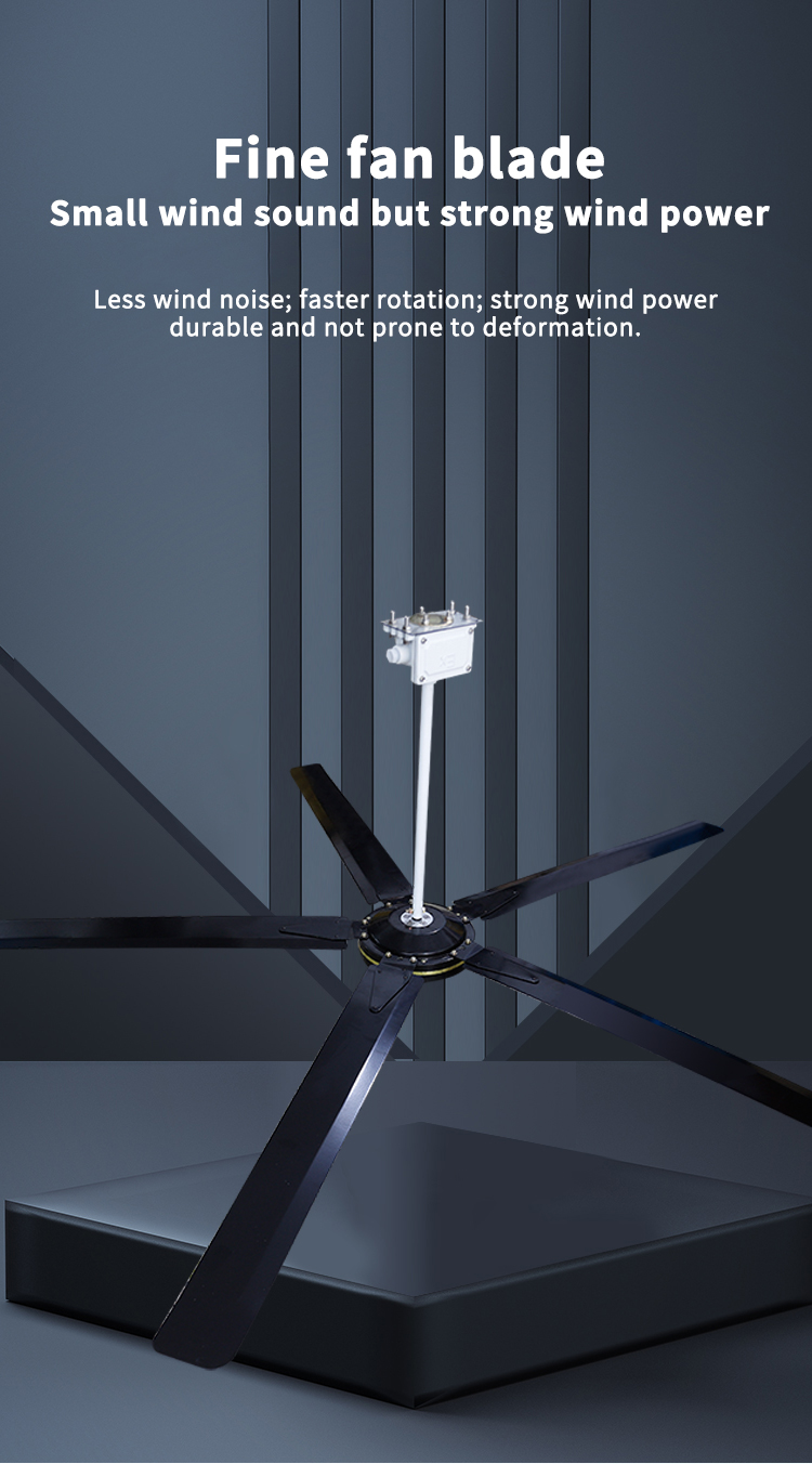 fine f&atilde; l&acirc;mina 