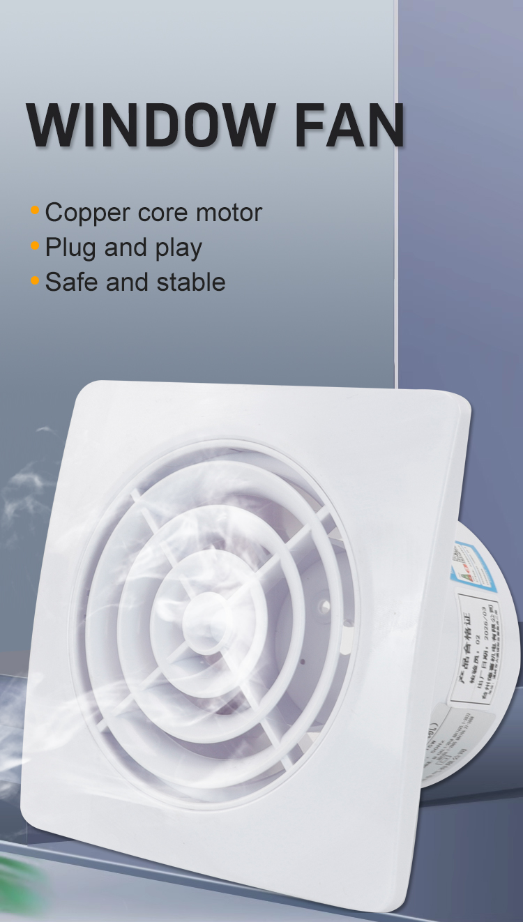 STA100-HENAGEM VAIO DE JANEIRA 